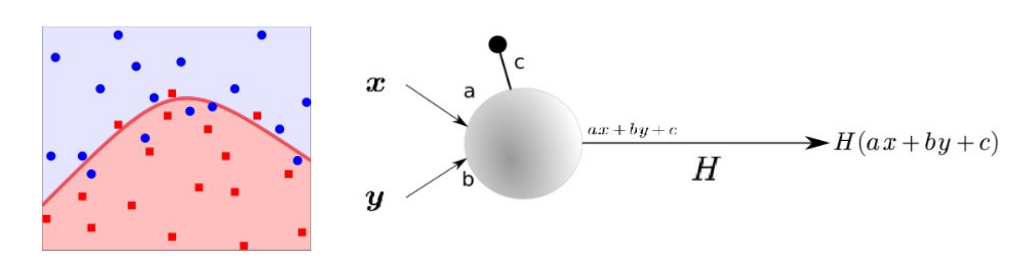 un neurone